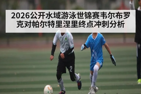 2026公开水域游泳世锦赛韦尔布罗克对帕尔特里涅里终点冲刺分析